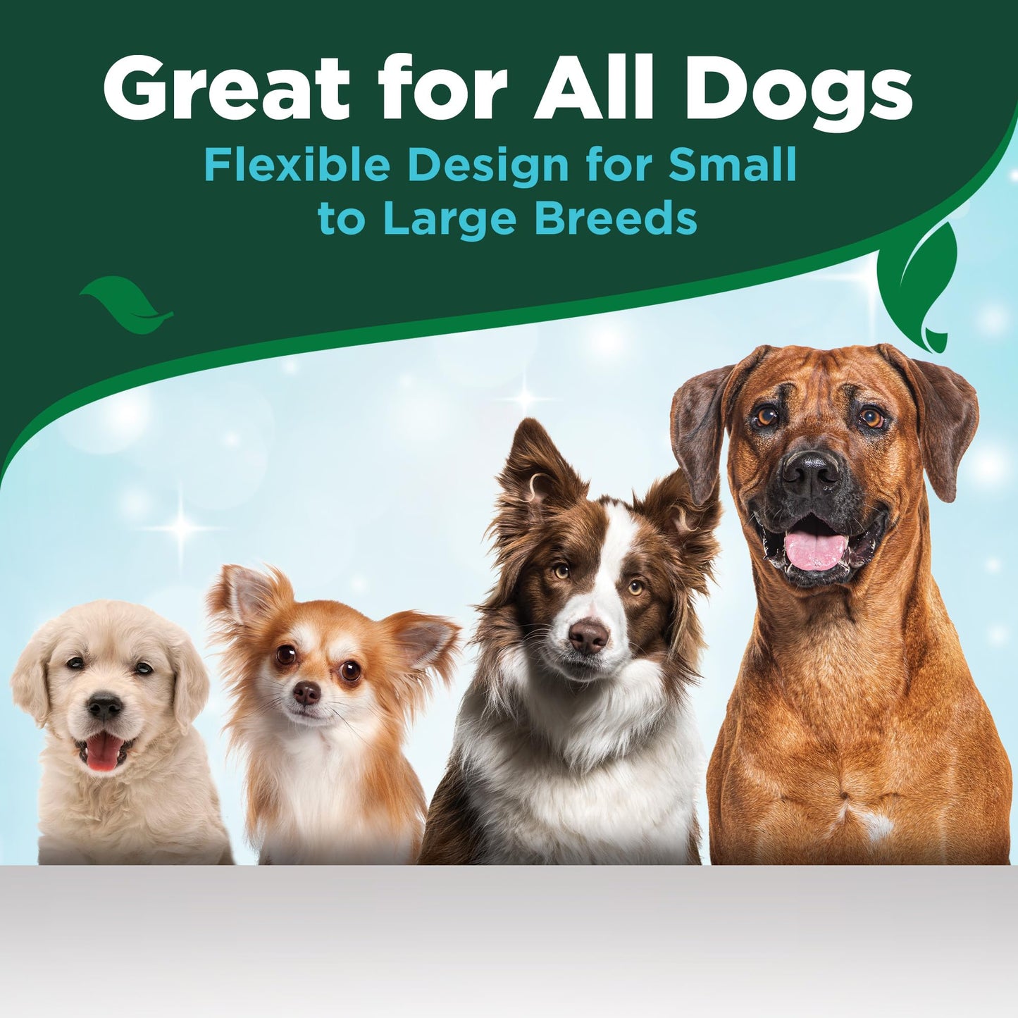 Dog Dental Care Kit – Toothpaste & Toothbrush