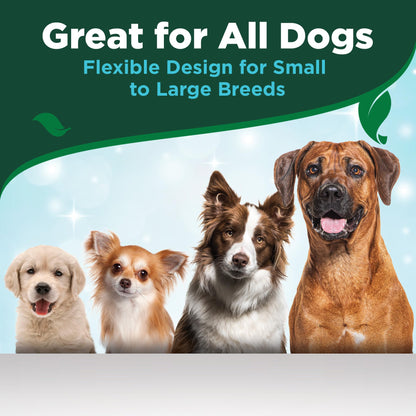 Dog Dental Care Kit – Toothpaste & Toothbrush