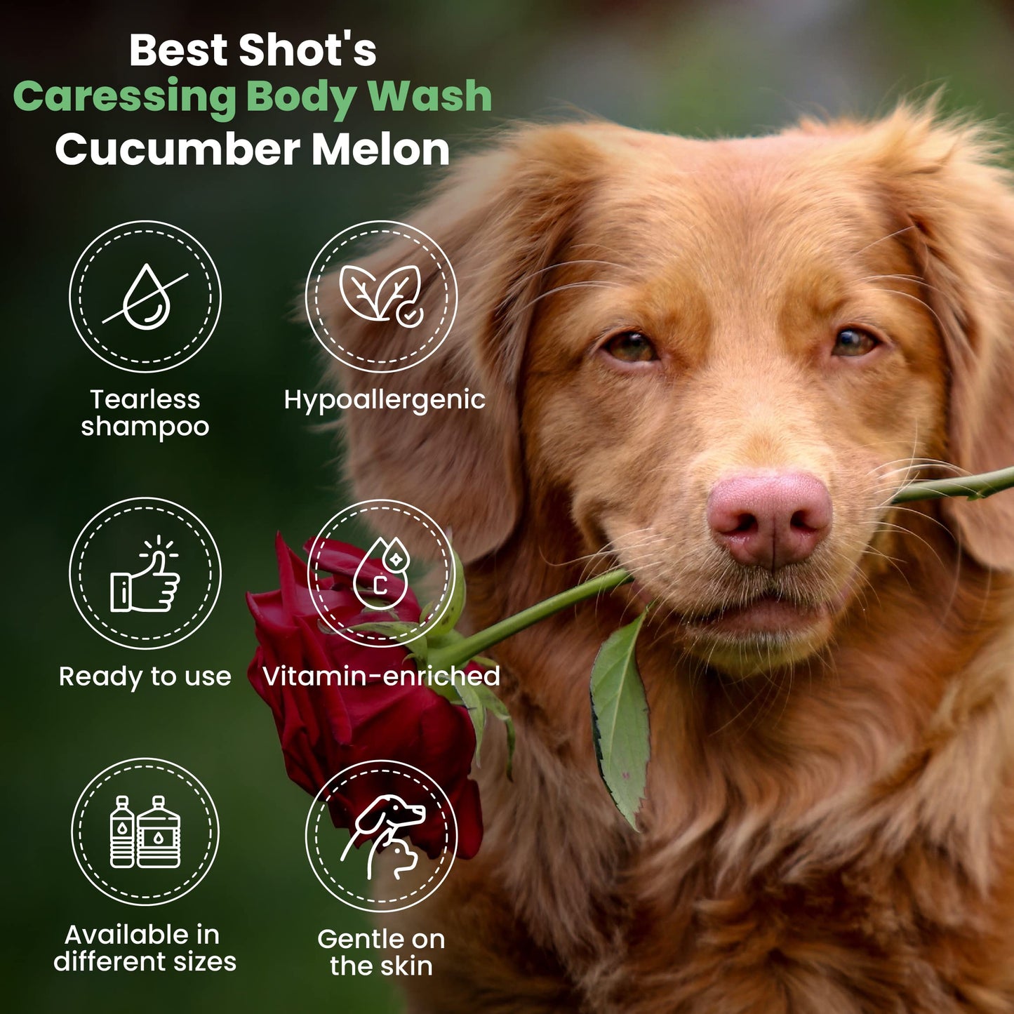 Calming Pet Body Wash