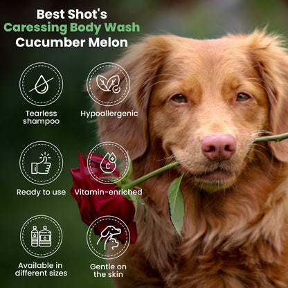 Calming Pet Body Wash