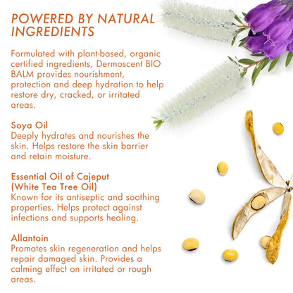 Natural Paw Balm – Moisturizing & Protective Care