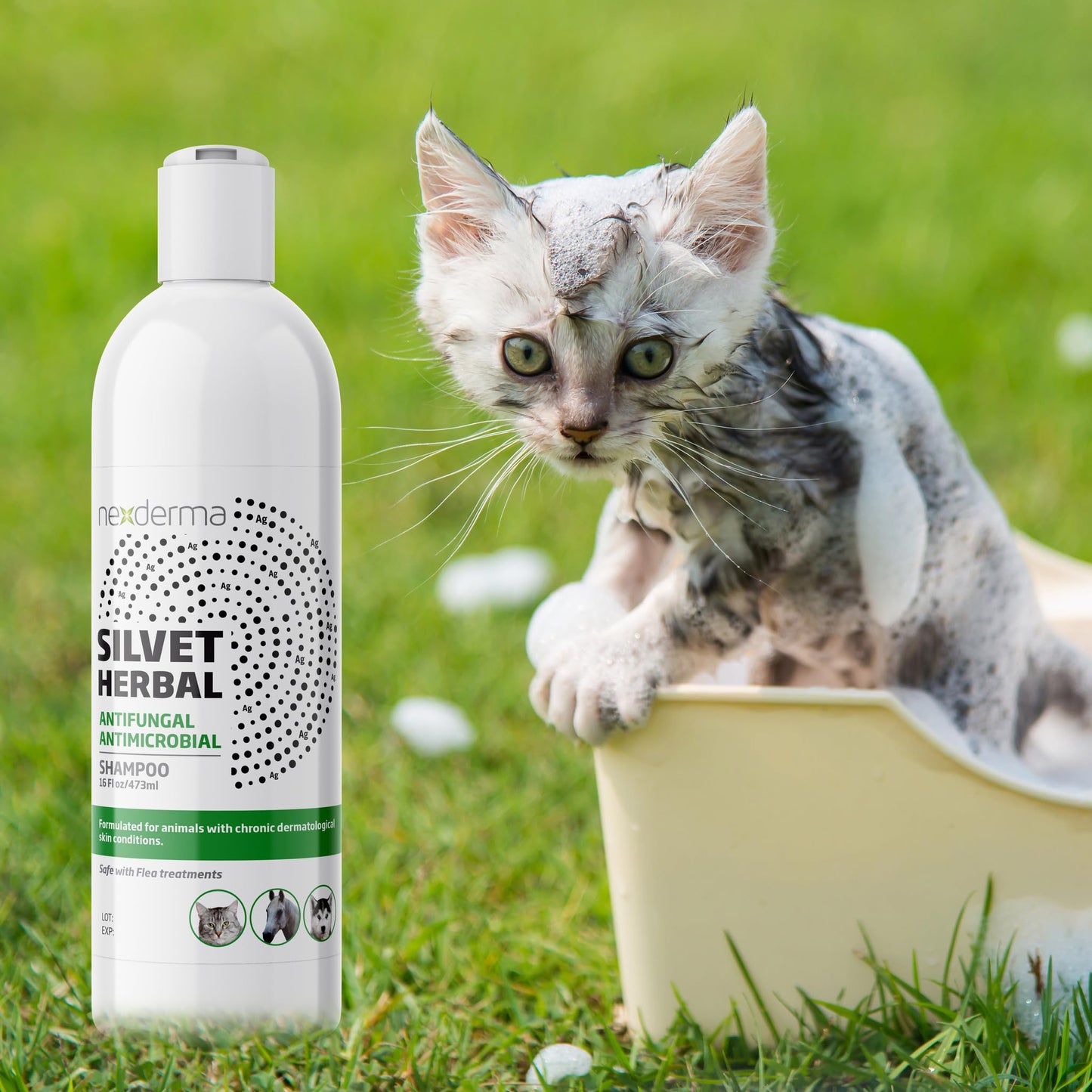 Natural Medicated Pet Shampoo – Sensitive Skin Relief