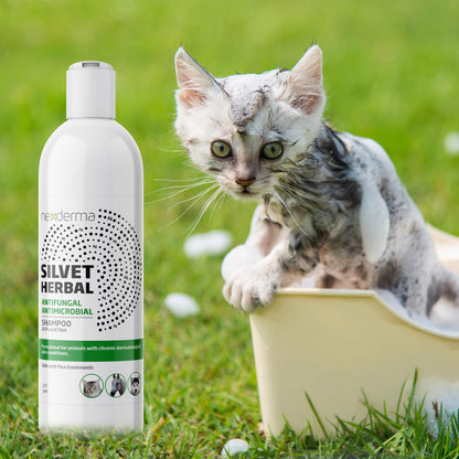 Natural Medicated Pet Shampoo – Sensitive Skin Relief
