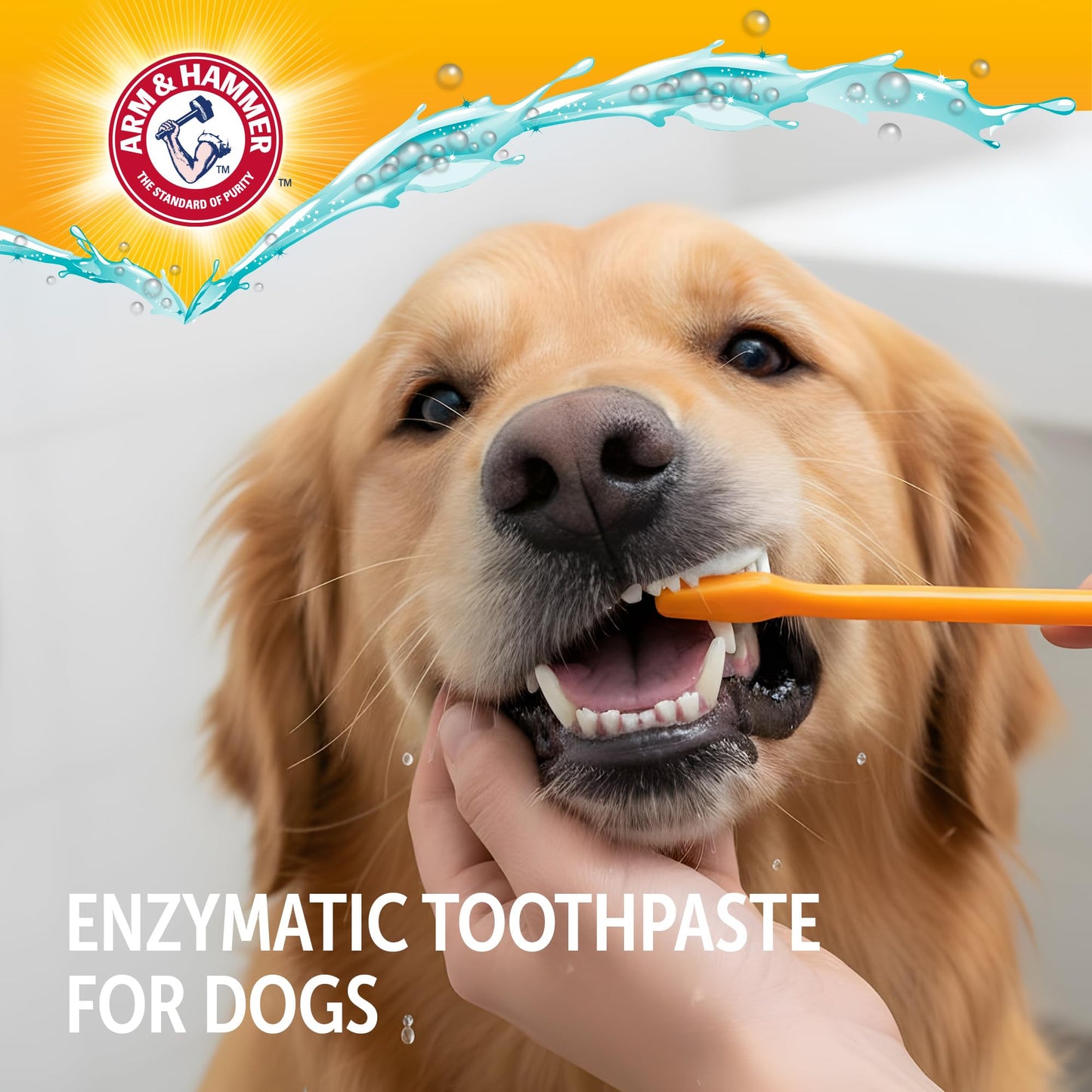 Pet Dental Care Kit