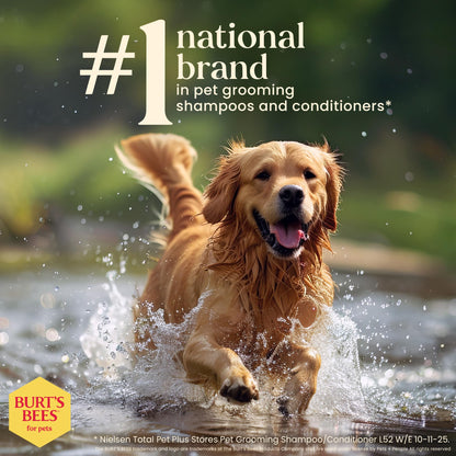 Waterless Dog Shampoo Spray – Apple & Honey