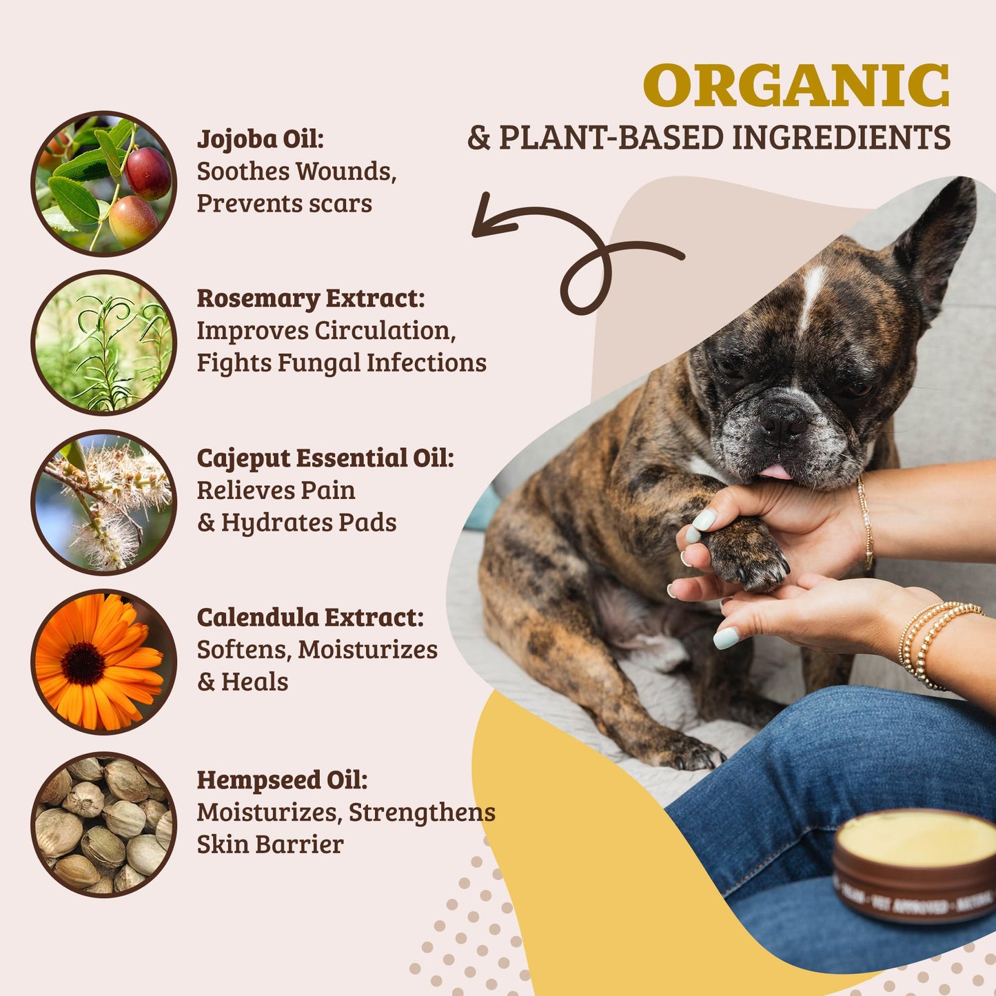 PawTection Balm Stick – Protective & Nourishing Paw Care