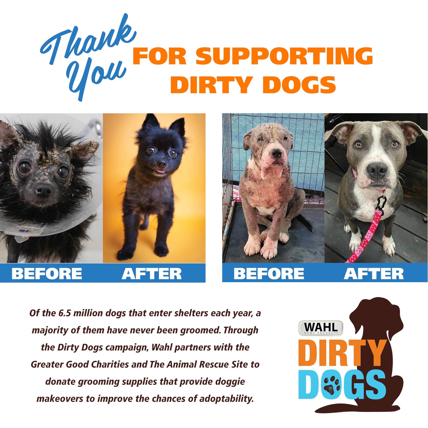 Pet Shampoo – Gentle Care for Dogs & Cats