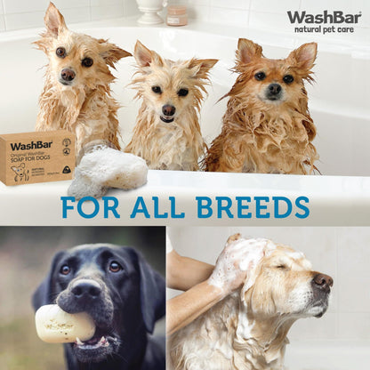 Natural Dog Shampoo Bar – Sensitive Skin & Allergy Relief