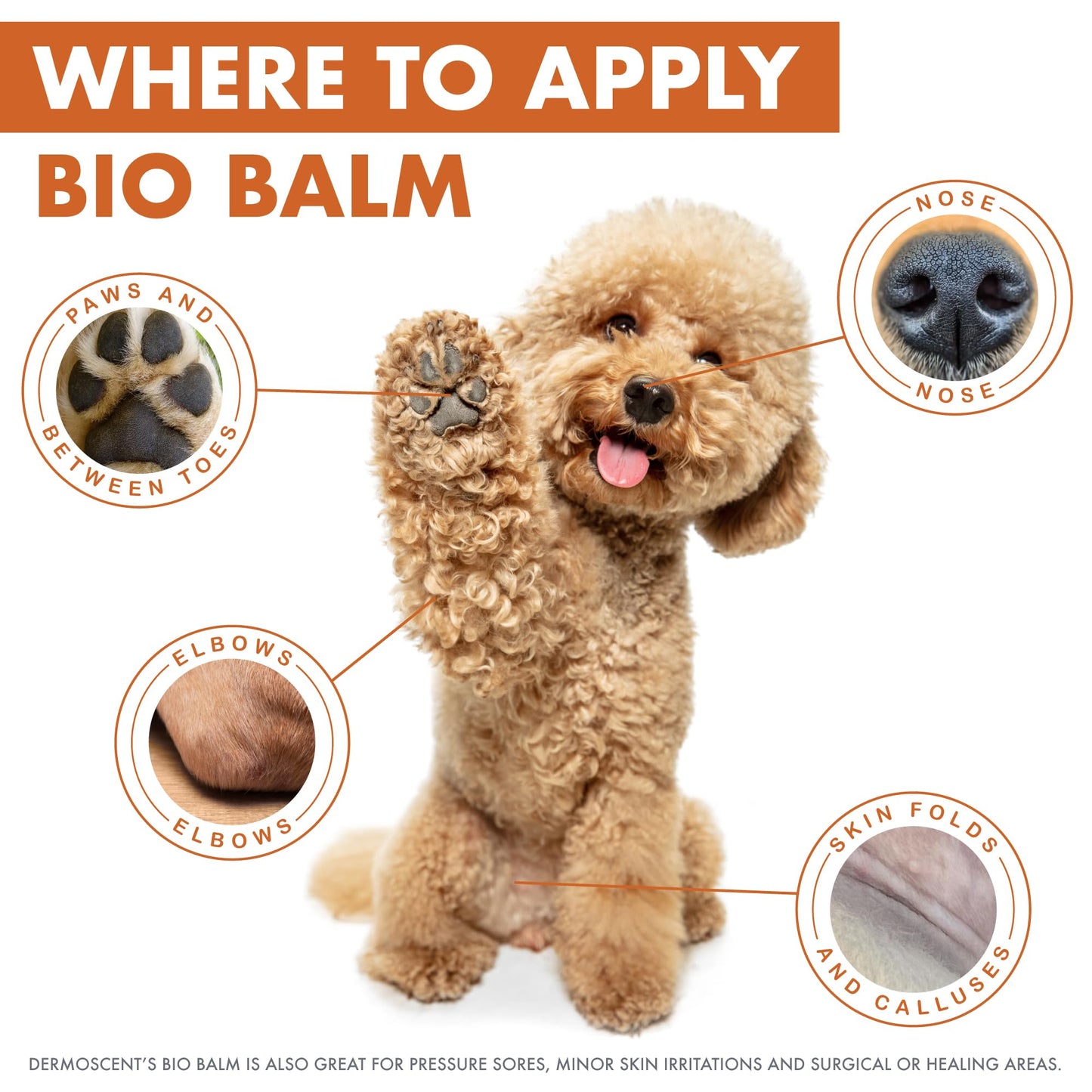 Natural Paw Balm – Moisturizing & Protective Care