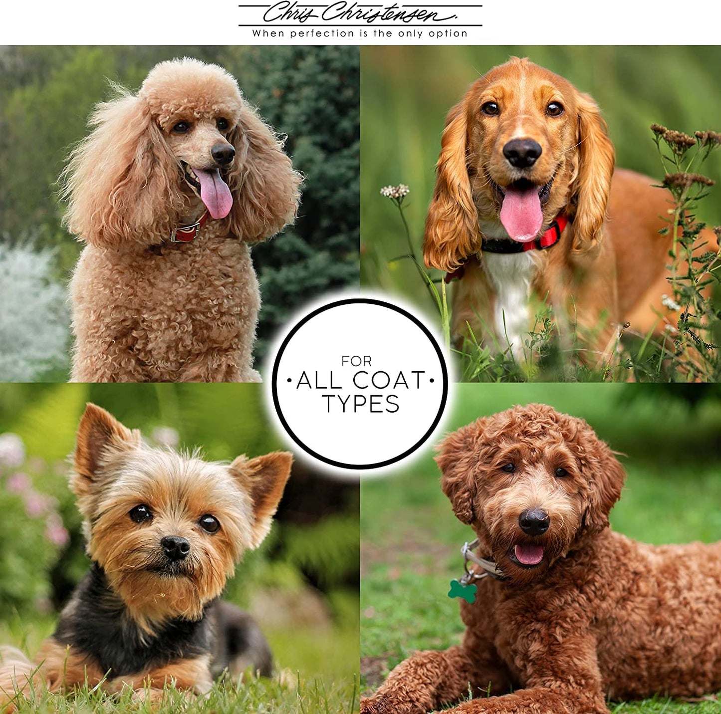 Ice Chalk Pet Grooming Product