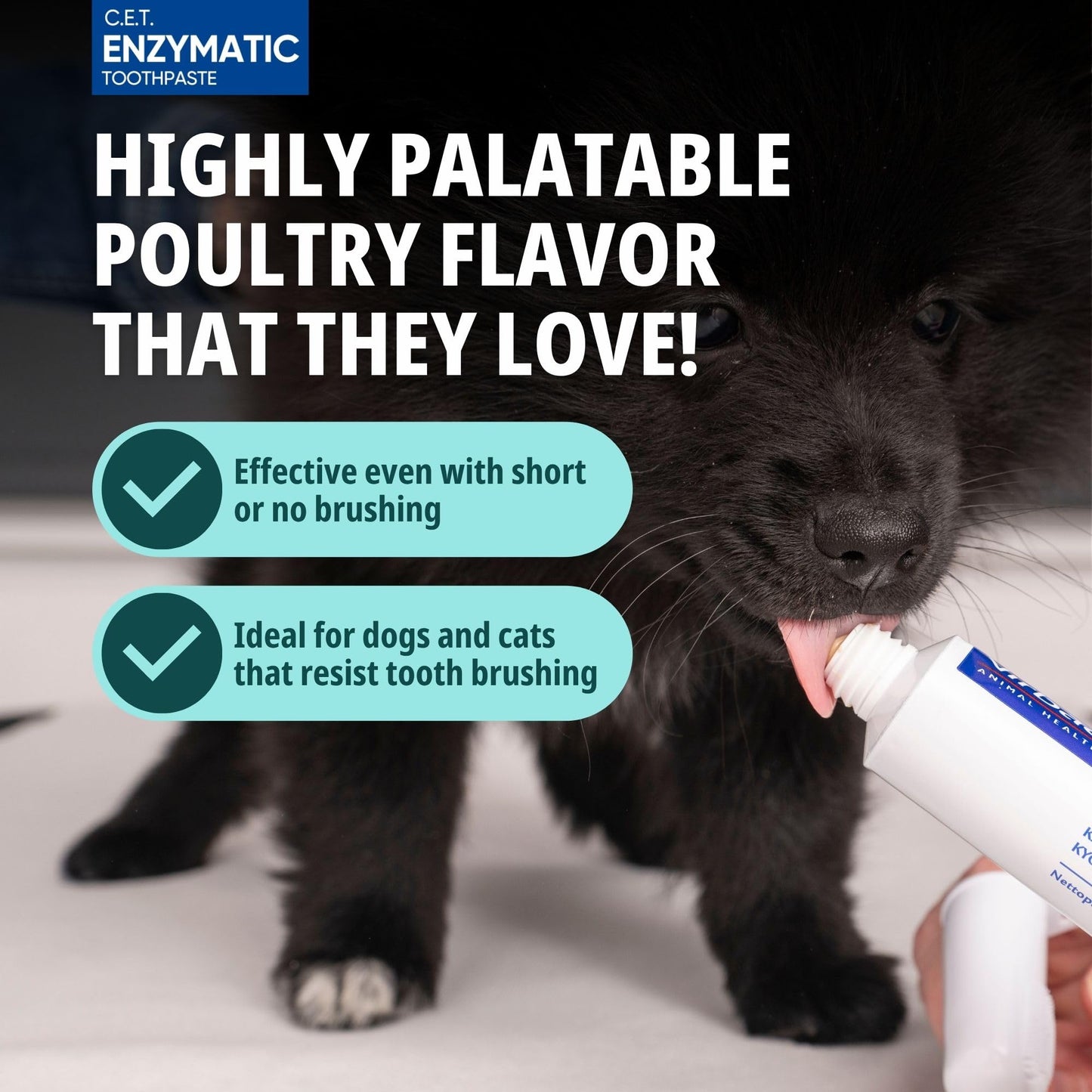 Pet Oral Hygiene Kit – 3 Piece Set