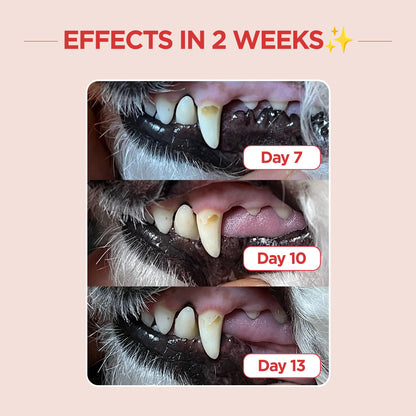 Pet Dental Care Brush – Dog & Cat Toothbrush