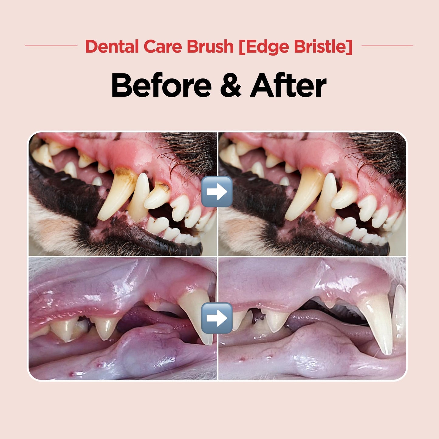 Pet Dental Care Brush – Dog & Cat Toothbrush