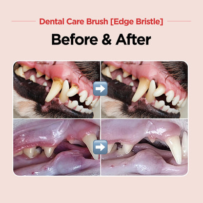 Pet Dental Care Brush – Dog & Cat Toothbrush