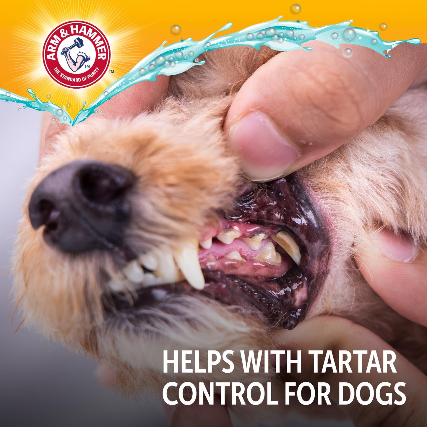 Dental Water Additive – Fresh Breath for Dogs