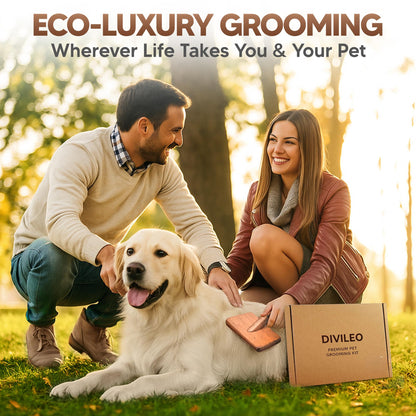 Premium Pet Grooming Kit – Brush, Comb & Nail Care
