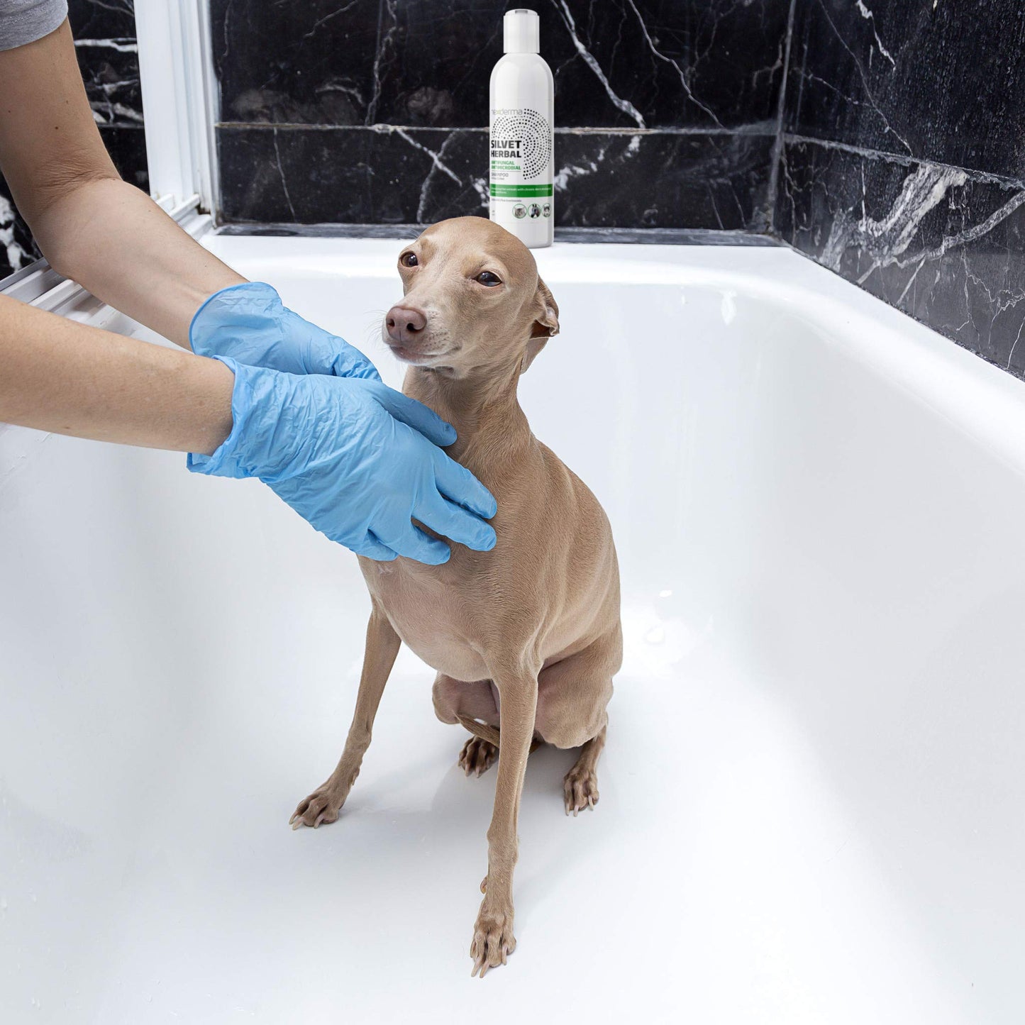 Natural Medicated Pet Shampoo – Sensitive Skin Relief