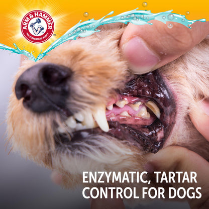 Pet Dental Care Kit