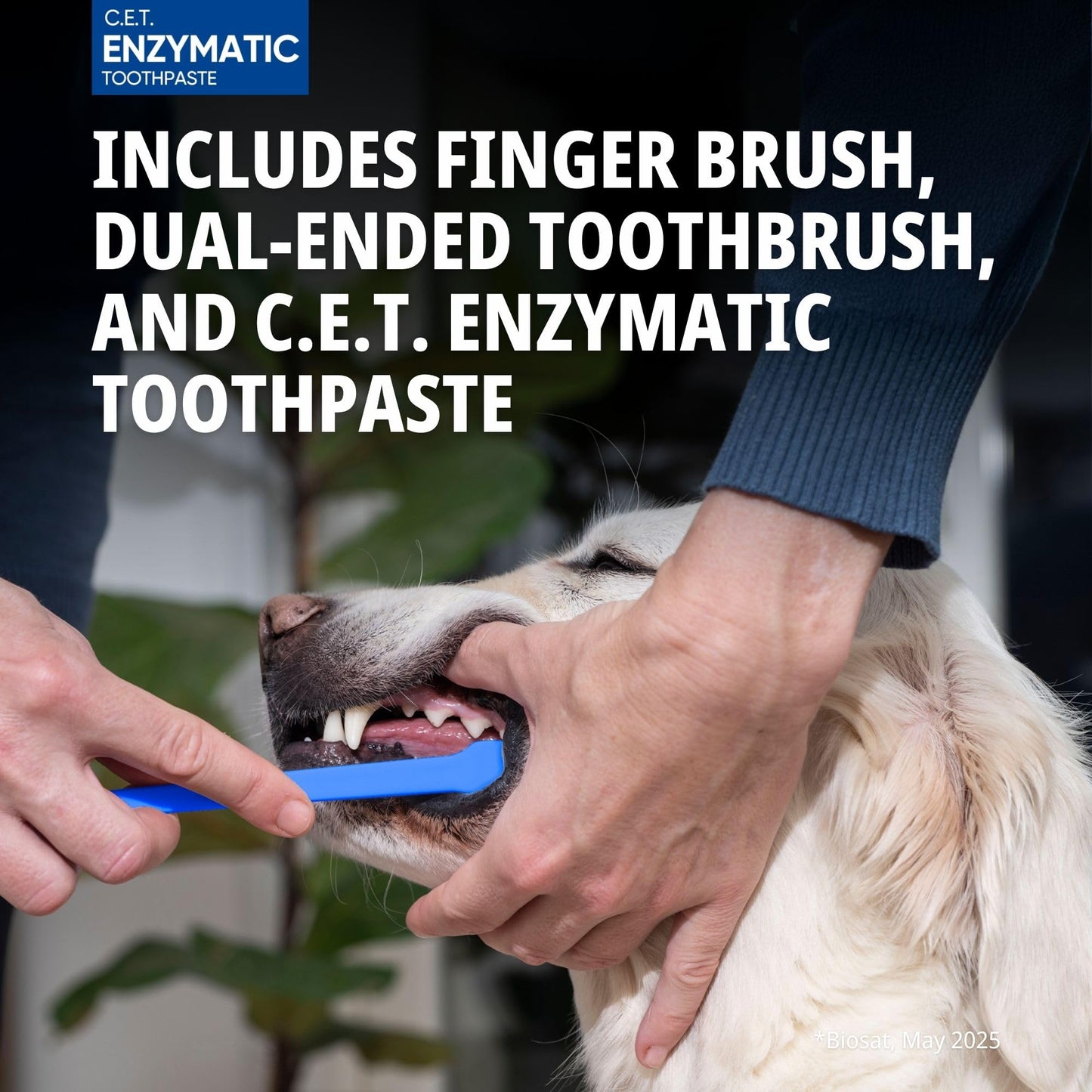Pet Oral Hygiene Kit – 3 Piece Set