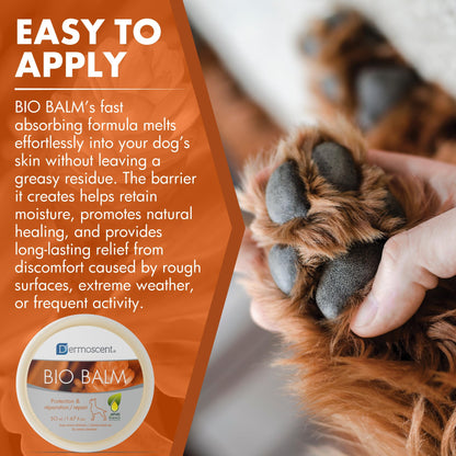 Natural Paw Balm – Moisturizing & Protective Care