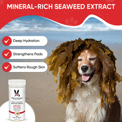 Deep Cleaning Paw Soak – Soothing Paw Care