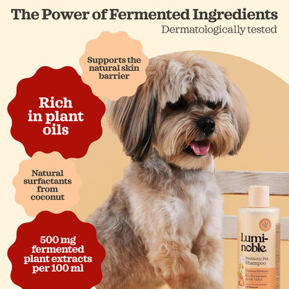 Oatmeal & Vanilla Pet Shampoo