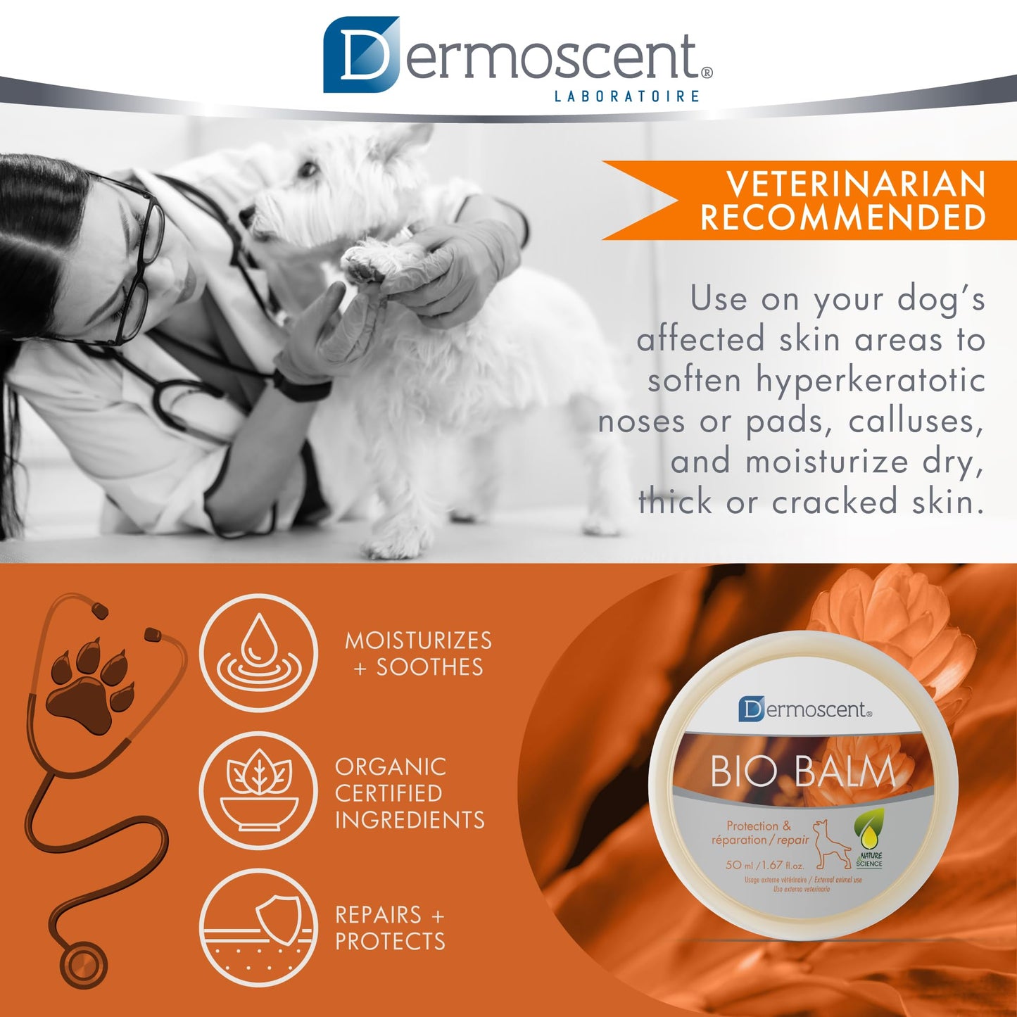Natural Paw Balm – Moisturizing & Protective Care