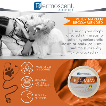 Natural Paw Balm – Moisturizing & Protective Care