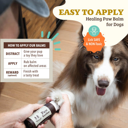 Paw Care Balm Bundle – Soothing & Protective Paw Pads