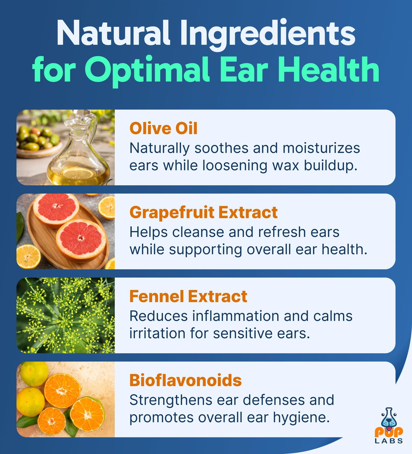 Natural Dog Ear Cleaner – Infection & Irritation Relief