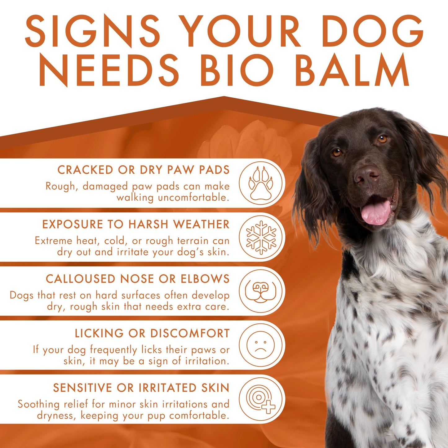 Natural Paw Balm – Moisturizing & Protective Care