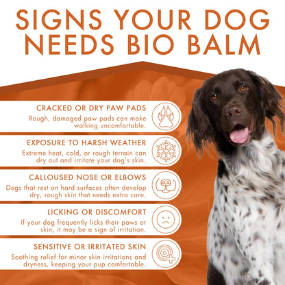 Natural Paw Balm – Moisturizing & Protective Care