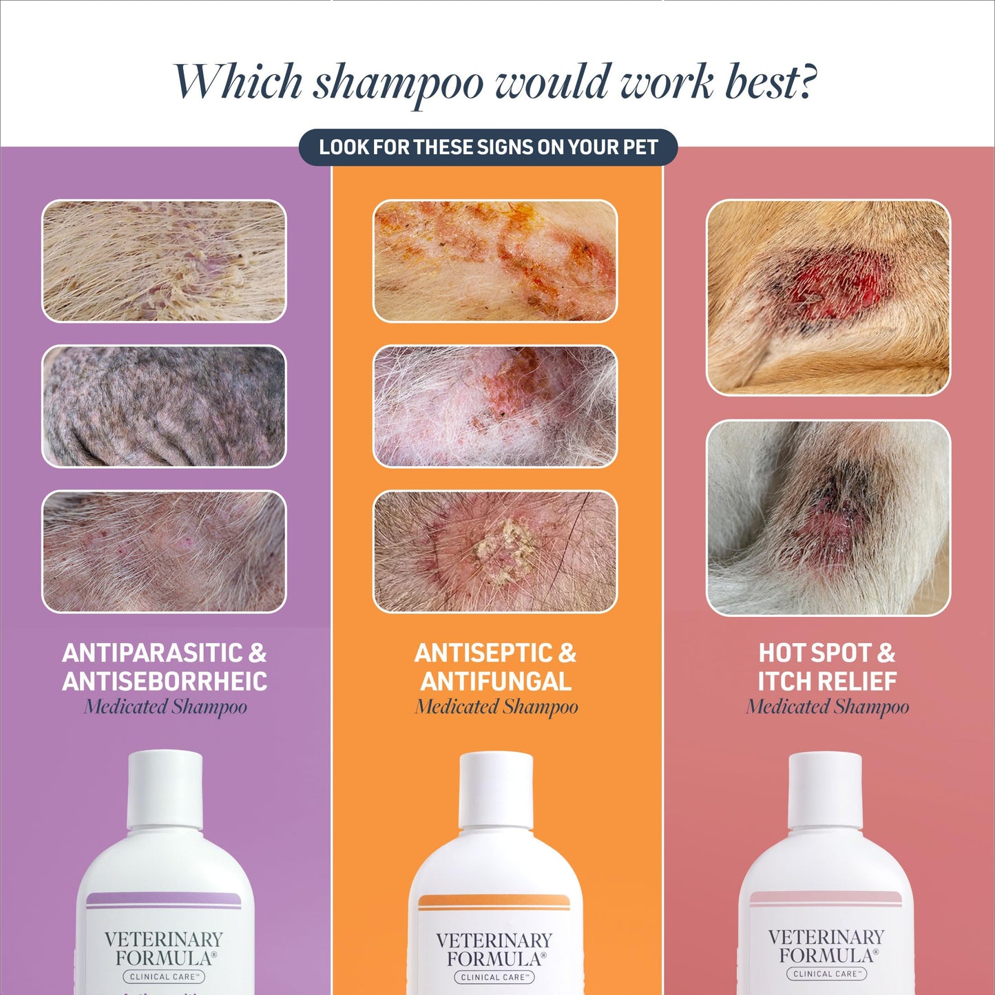 Antiseptic & Antifungal Pet Shampoo