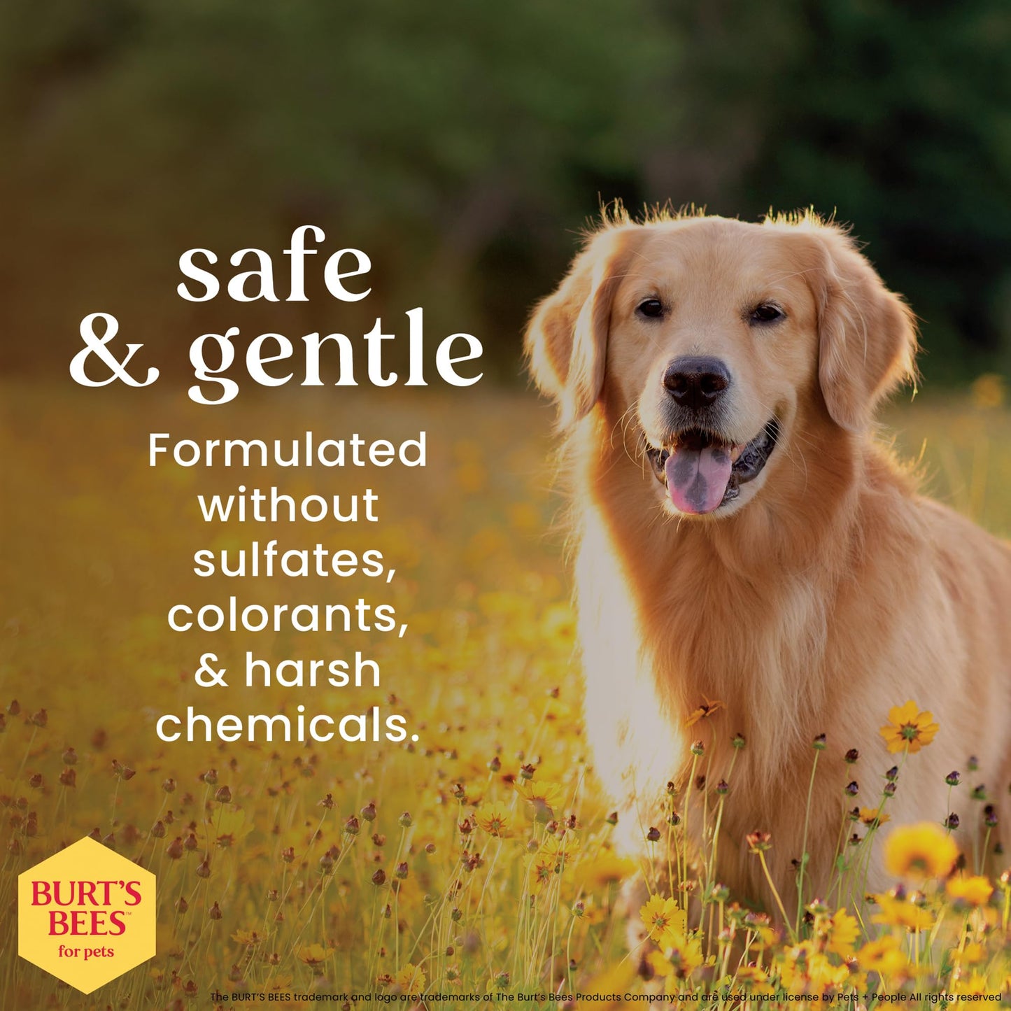 Waterless Dog Shampoo Spray – Apple & Honey