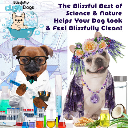 Dog Shampoo for Soothing Discomfort