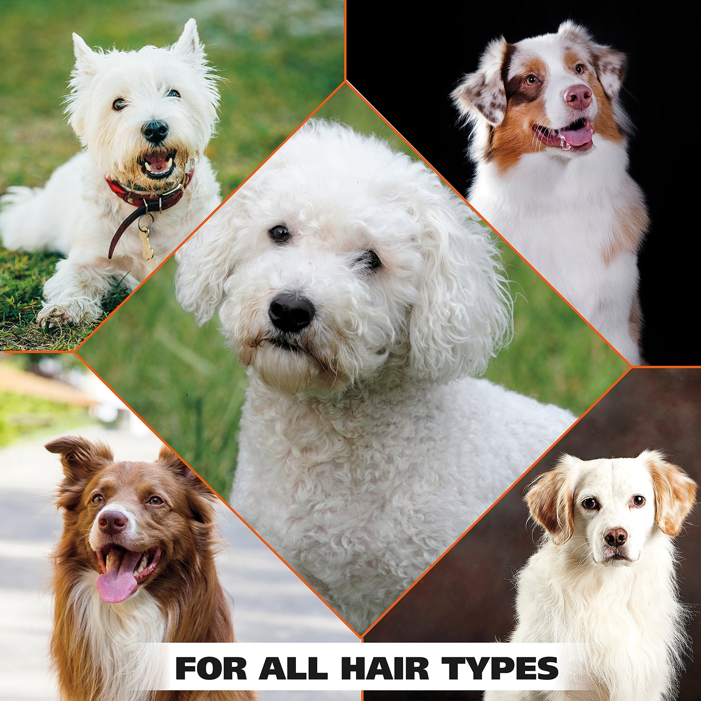 Pet Shampoo – Gentle Care for Dogs & Cats