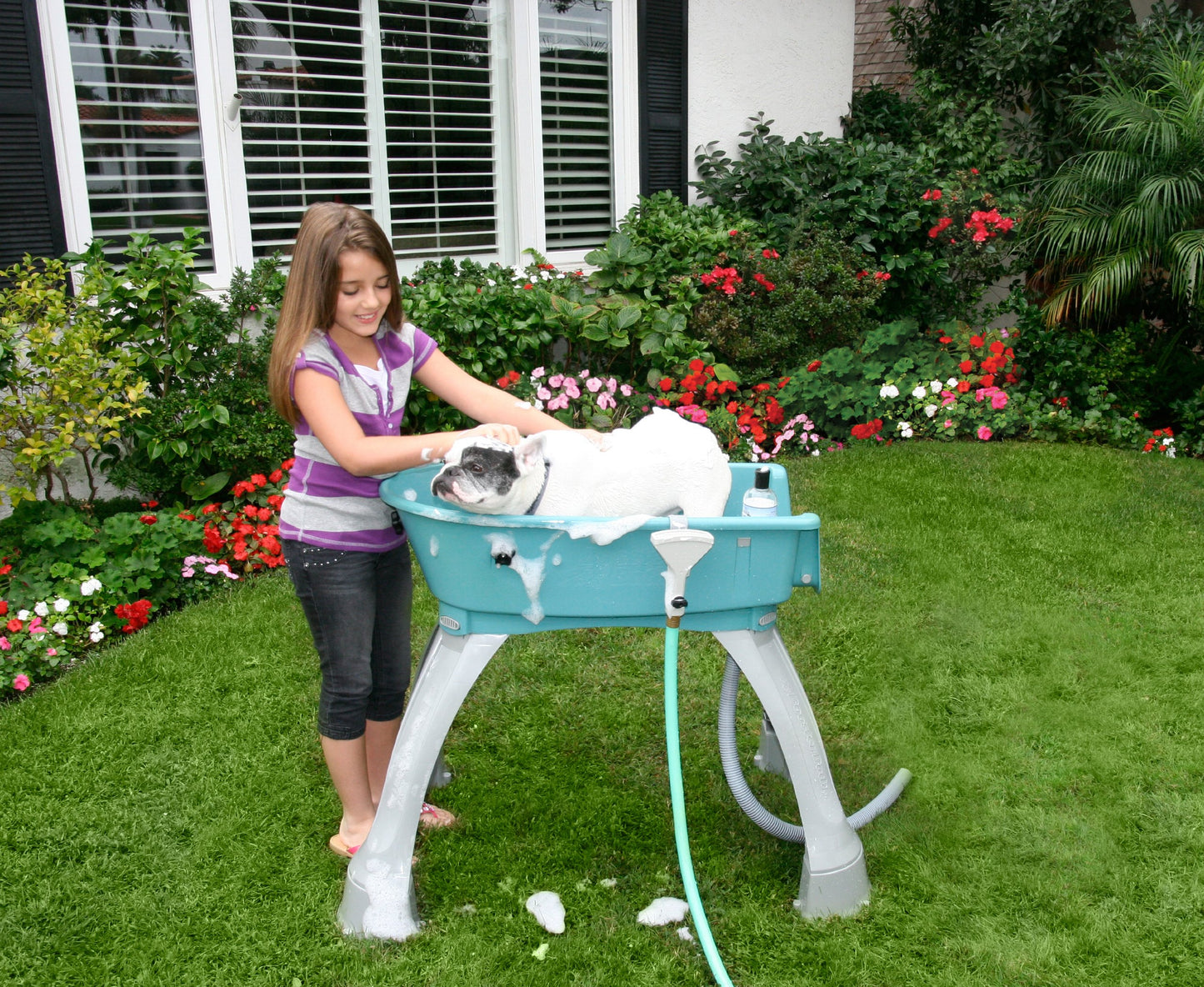 Elevated Pet Bath – Medium Size